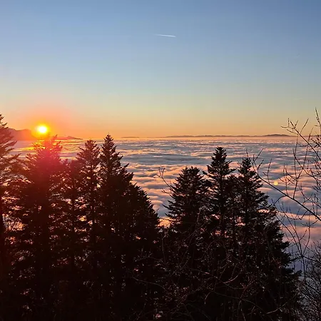 ゲストハウス Quiet In Center With Mountain View