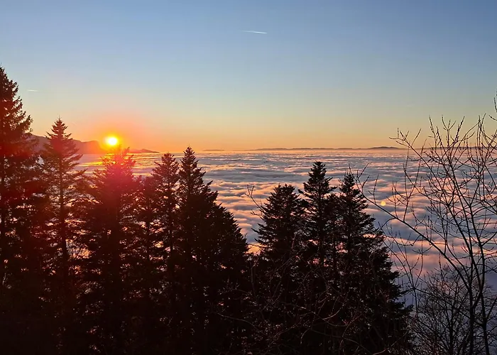 ゲストハウス Quiet In Center With Mountain View
